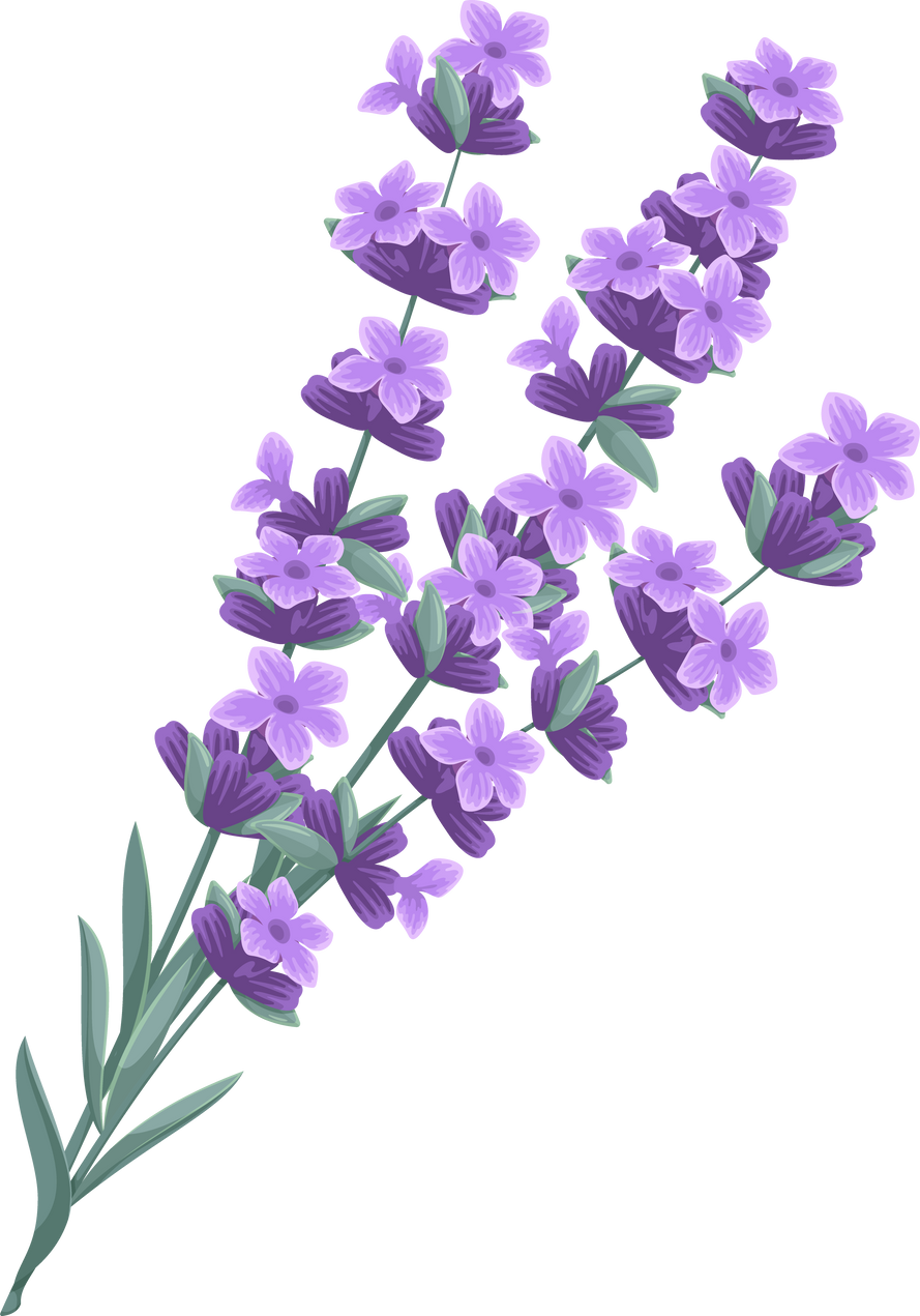 Lavender